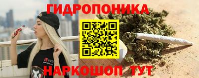 дурь Славянск-на-Кубани