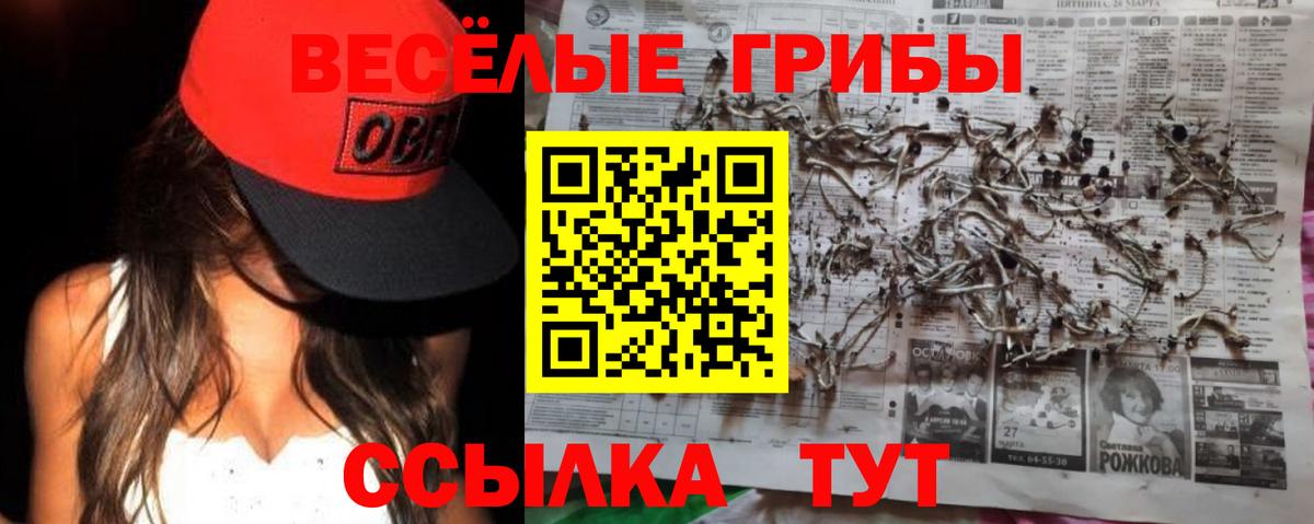Псилоцибиновые грибы MAGIC MUSHROOMS Усть-Кут